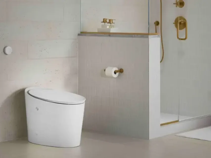 toilet